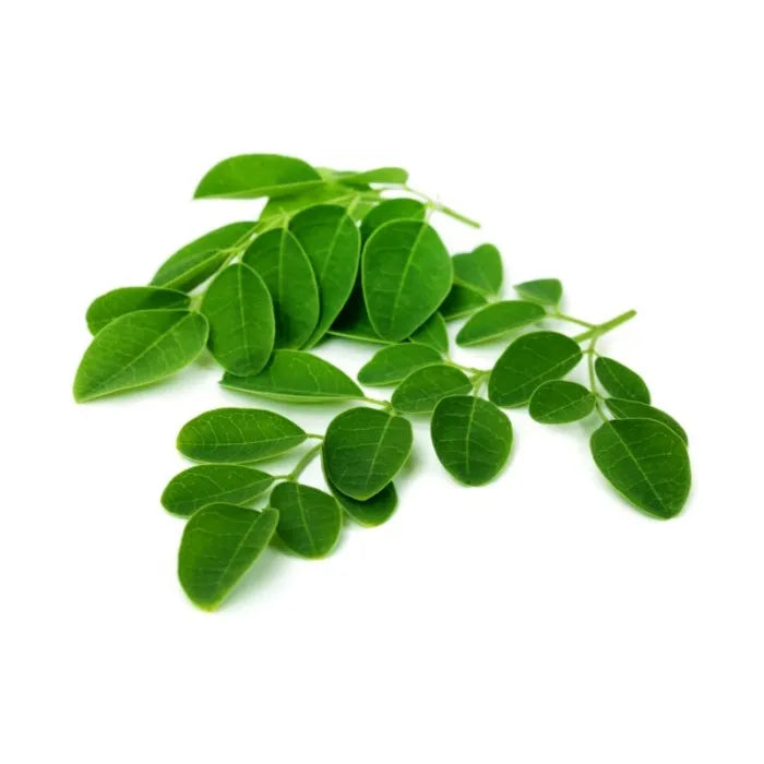 Feuilles de Moringa (Nebeday)