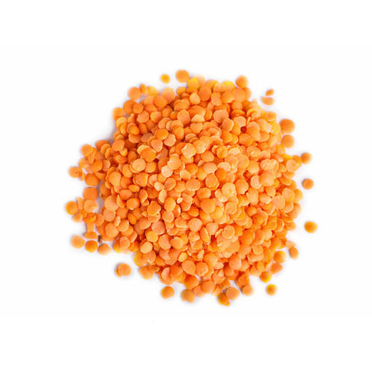 Lentilles corail